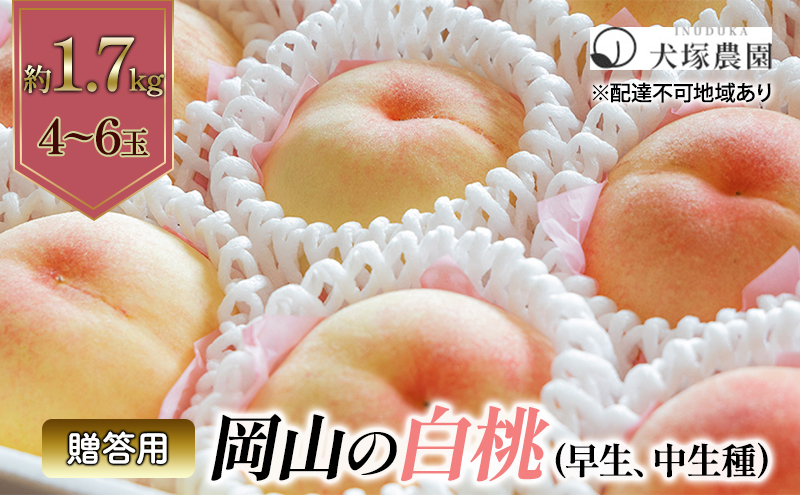 桃 2025年 先行予約 贈答用 岡山の 白桃（早生、中生種）約1.7kg 4～6玉 岡山県 フルーツ もも 桃 モモ ピーチ 人気 新鮮 フルーツ 桃  フルーツ もも 桃 ギフト くだもの 桃 もも 果物 フルーツ 桃 もも