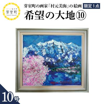 ふるさと納税 芽室町 北海道十勝芽室町 希望の大地10 10号 me025-021