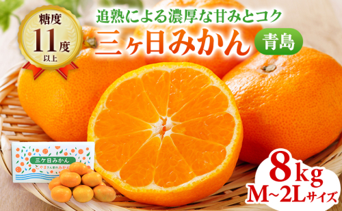 三ヶ日みかん 青島 8kg M〜2L 蜜柑 ミカン 果物 くだもの フルーツ 浜松