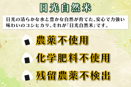 [数量限定／令和7年度米] 日光市産 コシヒカリ 白米 5kg《自然栽培米『日光自然米』／農薬不使用・化学肥料不使用》｜2025年度米 無農薬米 こしひかり オーガニック コシヒカリ 新米 精米 お米