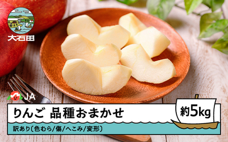 りんご 品種おまかせ 訳あり 無印 約5kg 2025年産 令和7年産 フルーツ 果物 山形県 ja-riwax5