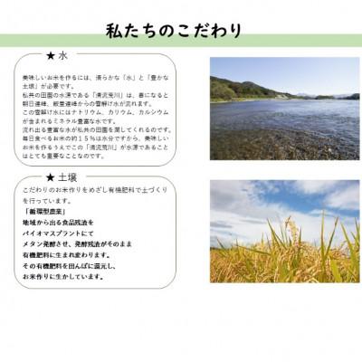 ふるさと納税 村上市 【令和6年産米】にいがた岩船産コシヒカリとこしいぶきの食べ比べセット(神林産地)10kg |  | 03