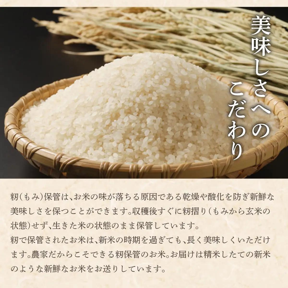 令和7年産 アグリプロ未来のゆめぴりか 10kg(5kg×2袋)【a178-002】