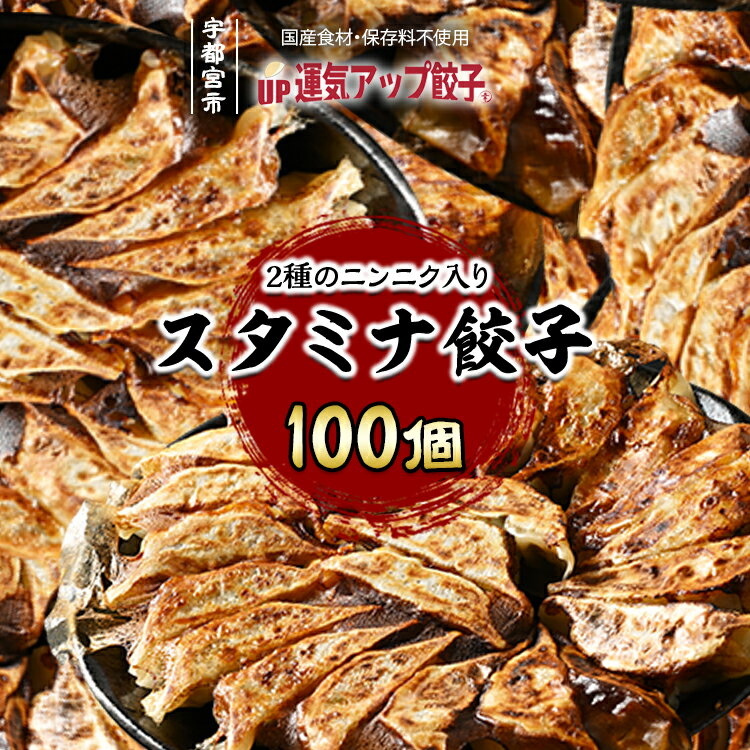【ふるさと納税】宇都宮餃子 運気アップ餃子 ニンニクマシマシ スタミナ餃子 100個 保存料不使用【冷凍餃子 ぎょうざ ギョウザ にんにく 冷凍食品 惣菜 栃木県 宇都宮市 】※配送不可地域：離島