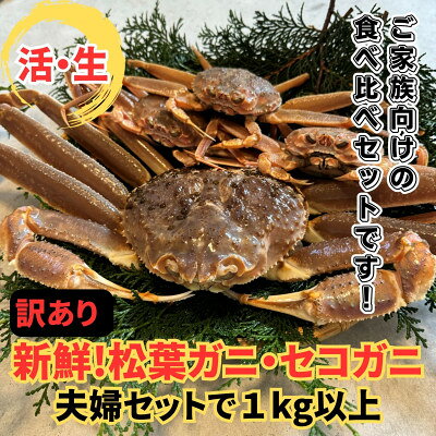 【ふるさと納税】【さかなや新鮮組】鳥取県産 訳あり 活松葉ガニ・セコガニ1.0kgセット ご家庭用 漁港直送【配送不可地域：離島・北海道・沖縄県・東北・信越、北陸】【1759708】