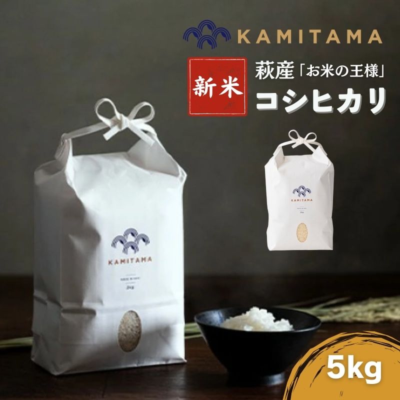 【ふるさと納税】コシヒカリ 令和7年 5kg 米 コメ こめ 萩産 KAMITAMA