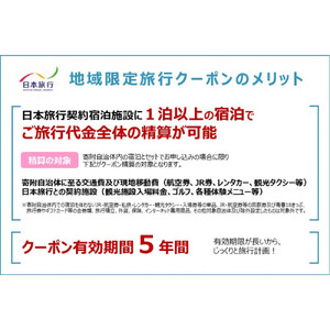 長野県長野市　日本旅行　地域限定旅行クーポン300,000円分 チケット | 旅行券 旅行クーポン クーポン 旅行 日本旅行 人気 おすすめ 観光 宿泊 長野県 長野市 信州 信濃 ふるさと納税