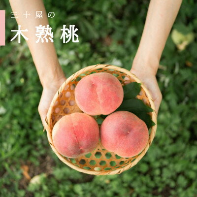 【ふるさと納税】2025年先行予約　三十屋木熟桃 【1.5kg(3～6玉)】【配送不可地域：離島】【1515509】