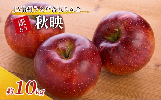 
                  訳あり りんご JA信州うえだ 合戦りんご 秋映 約10kg リンゴ 林檎 果物 くだもの フルーツ 信州 長野 離乳食 訳アリ わけあり 傷 [№5312-0062]
                