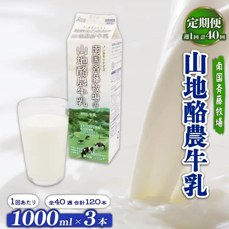 【40回定期便 週1】山地酪農牛乳1L×3本 ノンホモ製法 低温殺菌 生乳100％ 成分無調整牛乳