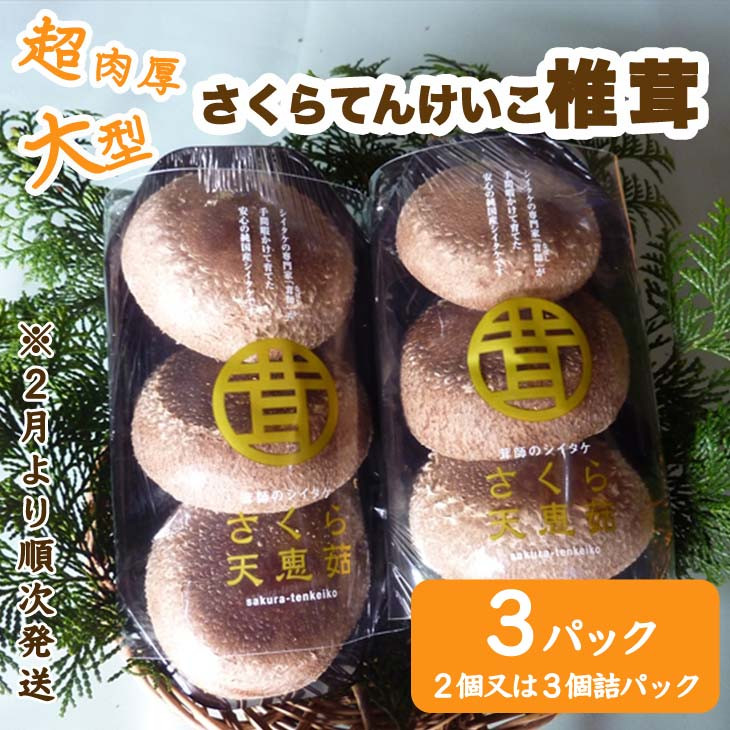 
超肉厚大型しいたけ”さくらてんけいこ”３パックセット
