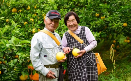 結（ゆい）果樹園の河内晩柑9kg（家庭用）