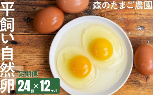 定期便 卵 12ヶ月 平飼い 自然卵 24個 セット たまご 卵 飛騨高山 森のたまご農園 LW104 | 定期便 たまご 定期便 卵 平飼い 平飼い卵 定期便 たまご 定期便 卵 平飼い 平飼い卵 定期便 たまご 定期便 卵 平飼い 平飼い卵
