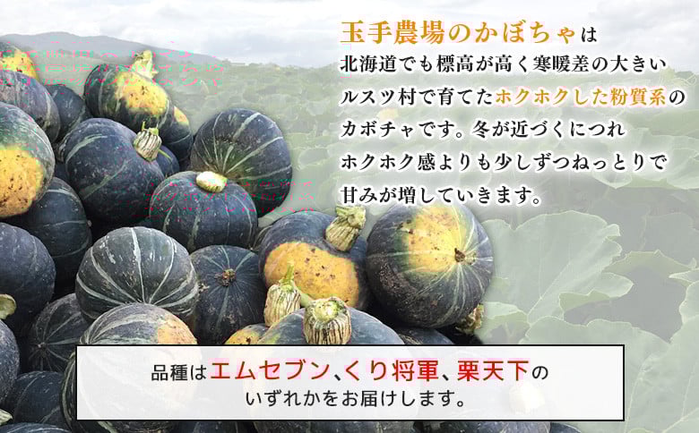 【先行予約】（生産者直送）じゃがいもVIP（キタアカリ）・かぼちゃ1玉セット合計10ｋｇ