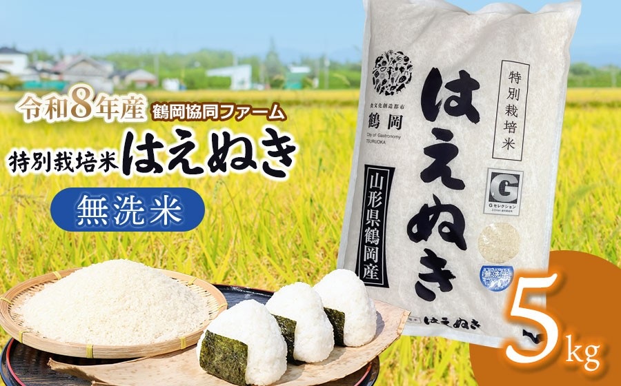【令和8年産先行予約】 特別栽培米はえぬき　無洗米 5kg　(5kg×1袋)　山形県鶴岡産　鶴岡協同ファーム