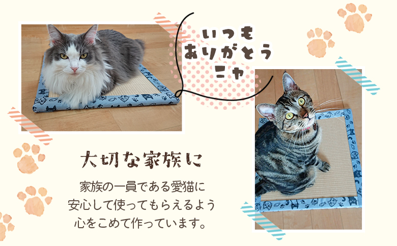 【数量限定】＜猫さんへ贈る匠の技セット(2種)＞耐久性のある柔らかい木材を使用した桶、和紙素材を加工した畳のセット【MI102-yk】【みまたんよかもん協同組合】