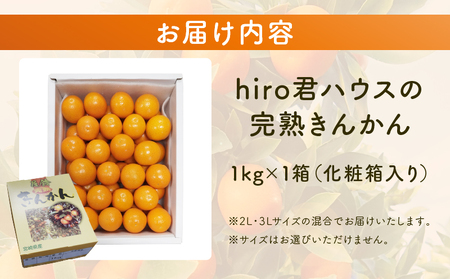 先行予約≪数量限定≫hiro君ハウスの『完熟きんかん(計1kg)』化粧箱入り フルーツ 果物 金柑 国産_T022-002