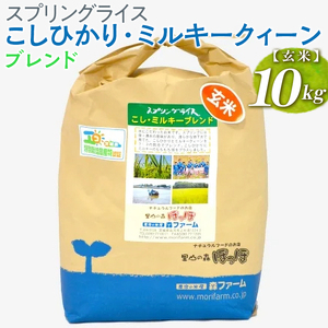 【新米】スプリングライス こしひかり・ミルキークィーン ブレンド (玄米)10kg ※着日指定不可 | 米 こめ コメ ご飯 玄米 単一米 国産 茨城県産 ※2026年9月～発送 _BI70