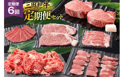 【6ヶ月連続定期便】三田産黒毛和牛 三田和牛　サーロインステーキ200g×4枚　ヒレステーキ150g×4　リブロースすきやき800g　特選焼肉800g　こまぎれ800g　しゃぶしゃぶ800g　和牛 牛肉 ブランド牛 肉 ギフト お祝い 兵庫県 三田市 [№5337-0382]