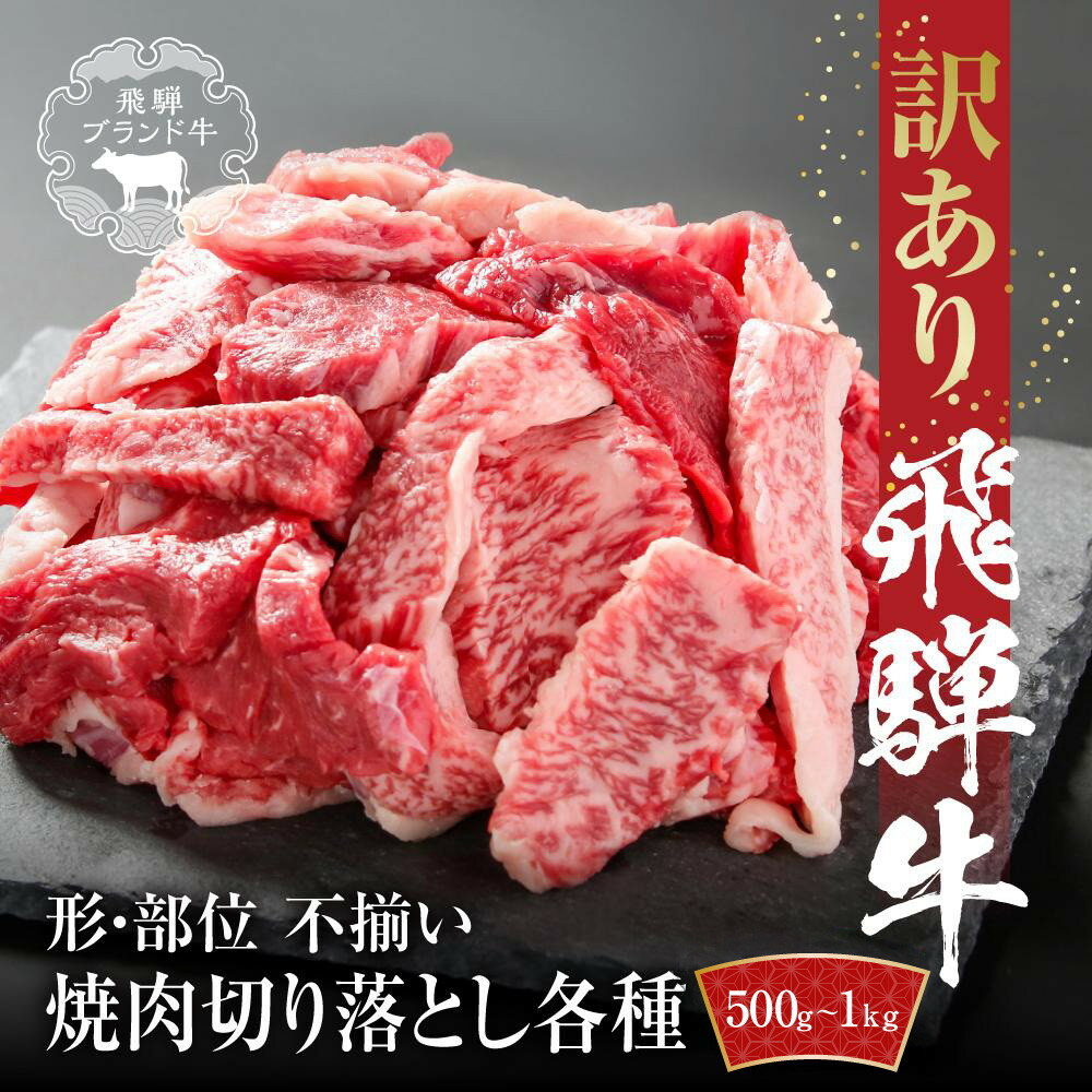 【ふるさと納税】訳あり 飛騨牛 焼肉 切り落とし 500g～1kg 冷凍真空パック | 肉 お肉 切落し 不揃い 焼肉 焼き肉 やきにくふるさと納税 バーベキュー キャンプ 黒毛和牛 和牛 人気 おすすめ 牛肉 ギフト お取り寄せ 飛騨高山ミート MZ013MP