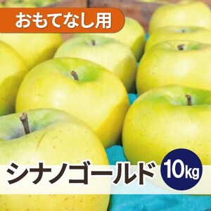 【25年12月出荷予定】平均糖度13度以上! シナノゴールド 約10kg おもてなし用【配送不可地域：離島・沖縄県】【1668071】