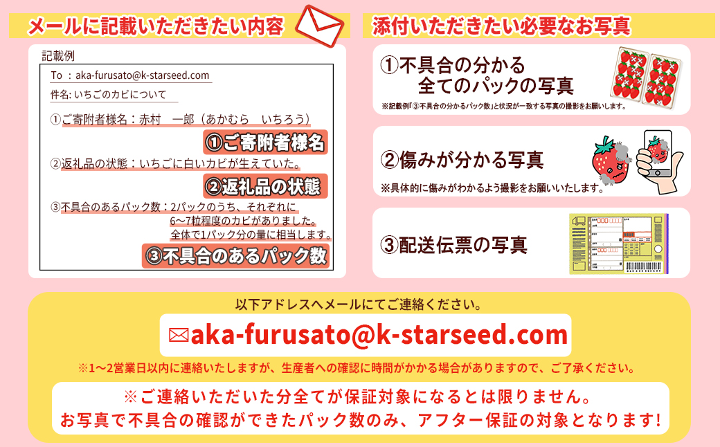 【先行予約】福岡県産「あまおう」定期便3回お届け (1月・2月・3月) 2J2