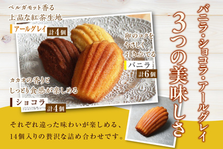 マドレーヌ 14個入 マドレーヌ 洋菓子 お菓子 スイーツ おやつ ルテイン 個包装 ギフト 贈り物 贈答 愛知県 東浦町