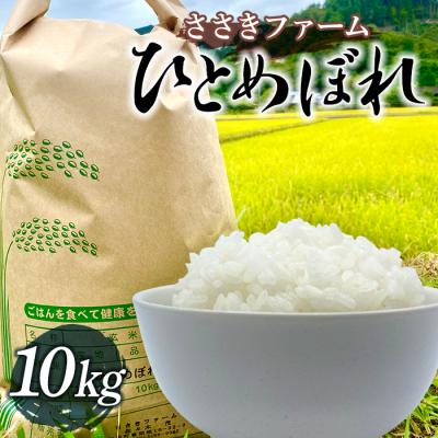 ふるさと納税 山田町 令和7年産 三陸山田産 米 ひとめぼれ 10kg