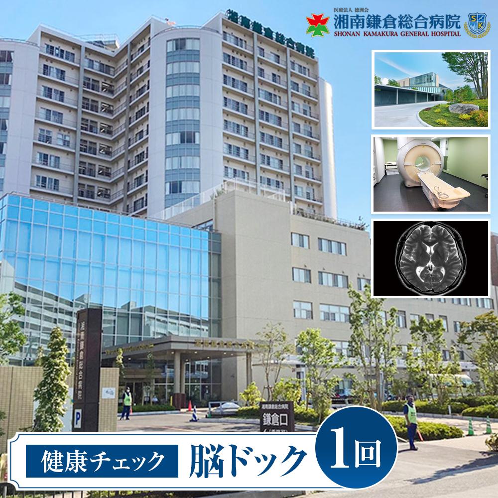 【ふるさと納税】【湘南鎌倉総合病院】健康チェック：脳ドック | 券 人気 おすすめ 送料無料