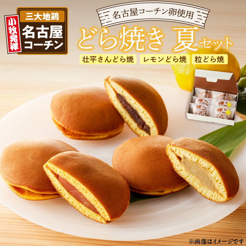 【ふるさと納税】どら焼き　夏セット