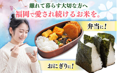 【12回定期便】 白米 夢つくし 5kg [ABAB010] 築上町 定期便 精米 ブランド米 仕送り