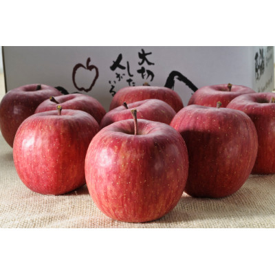 <りんごの代名詞>サンふじ贈答用品3kg【1270006】