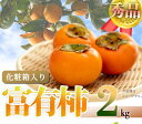 【ふるさと納税】和歌山秋の味覚　富有柿　約2kg化粧箱入「2025年11月上旬以降発送予定」【UT49】 | 和歌山 由良 和歌山県 由良町 和歌山県由良町 楽天ふるさと 納税 取り寄せ お取り寄せ フルーツ お取り寄せフルーツ ご当地 ご当地フルーツ 果物 くだもの 柿