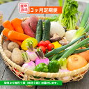 【ふるさと納税】 定期便 美里 の 特産品 詰め合わせ スタンダードコース 季節の野菜 や 特産品をお届け 熊本 美里町 や 道の駅 佐俣の湯 3ヶ月定期