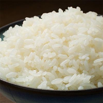 ふるさと納税 小竹町 福岡県認証農産物　南良津獅子米(精米)　6kg |  | 01