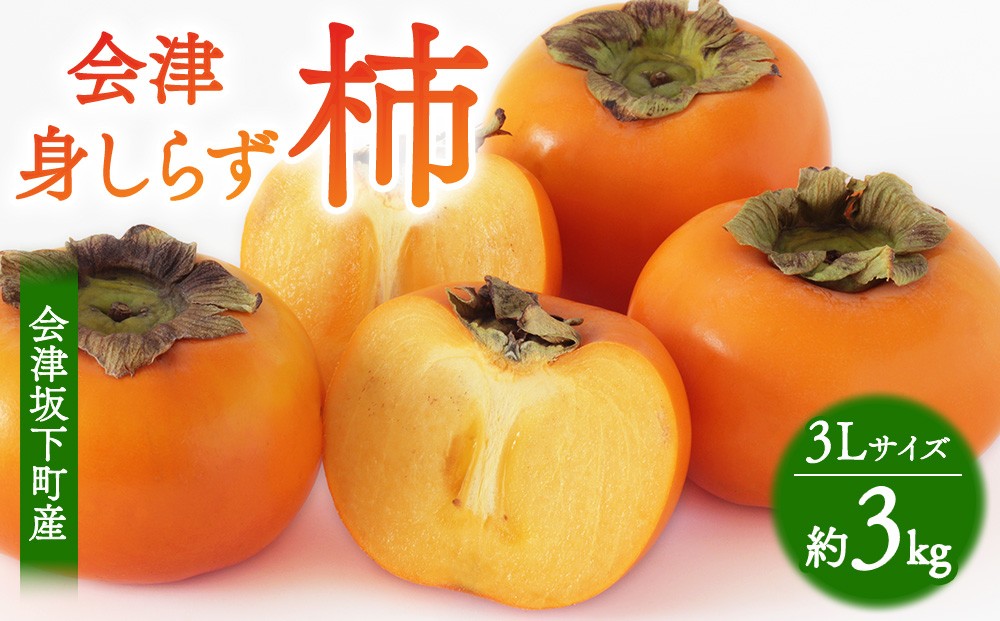 
                  52-B 会津身しらず柿 3Lサイズ 約3kg | フルーツ くだもの 果物 柿 かき カキ 産地直送 福島県 会津坂下町 ※2026年11月～発送
                