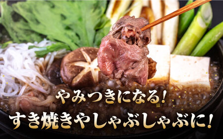 長崎和牛 あか牛 500g（すき焼き・しゃぶしゃぶ用）《対馬市》【高田牧場】 対馬 牛 和牛 すき焼 しゃぶしゃぶ 鍋 冷凍配送[WCR007]