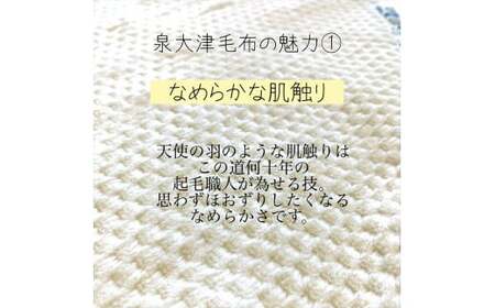 【アイボリー×萌葱色】【名入れ可】ハートの形が機能的！ありそうでなかったベビーブランケット ハートブランケット (泉大津毛布)