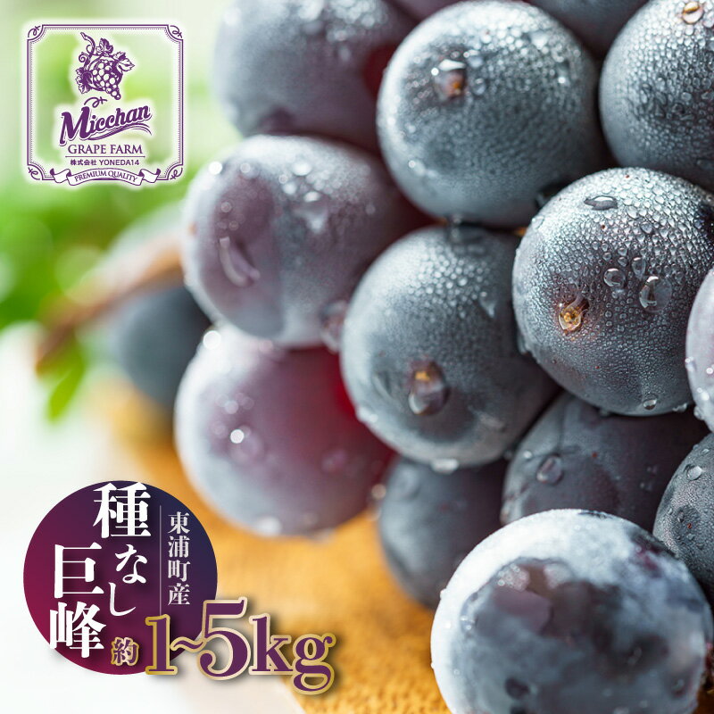 【ふるさと納税】＼先行予約／東浦町産 種なし 巨峰【選べる量 約1kg・3kg・5kg】先行予約承り中！ 食べやすい種無し品種！ 期間限定 フルーツ 種なし ぶどう 巨峰 愛知県産 果物 ブドウ 葡萄 予約 クール便【発送期間：8月下旬～9月上旬頃に順次お届け】 送料無料 [AA001]