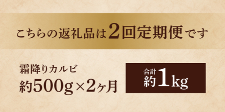 牛肉 【2ヶ月お届け】山梨県産 富士山麓牛 霜降りカルビ 500g 定期便
