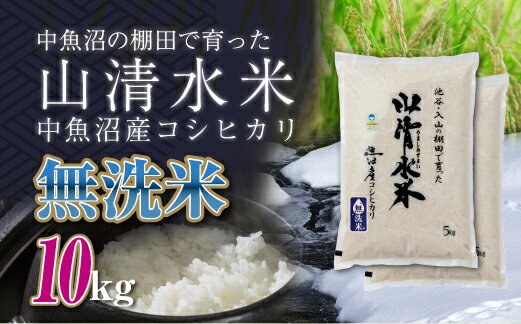【ふるさと納税】新潟県魚沼産コシヒカリ「山清水米」無洗米10kg 　お届け：2025年12月上旬～2026年9月下旬まで