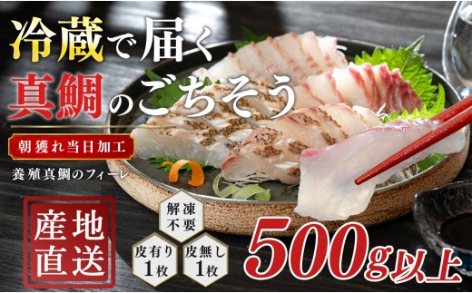 【先行受付】 朝獲れ 真鯛 フィーレ 皮付き 皮なし 500g以上 刺身 冷蔵 養殖 たい タイ マダイ セット 真空パック 産地直送 当日発送 鮮度抜群 鯛めし 鯛丼 カルパッチョ お取り寄せ ギフト 贈答 はやぶさ水産 四国 高知県 大月町 柏島産