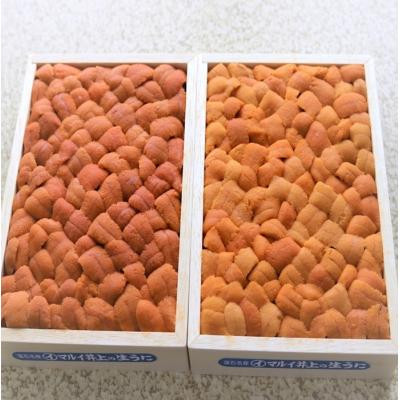 ふるさと納税 根室市 エゾバフンウニバラ詰め(赤系)140〜150g×1折 A-71047 |  | 01