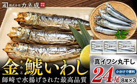 いわしの丸干し 24尾(8尾×3パック) 小分け イワシ