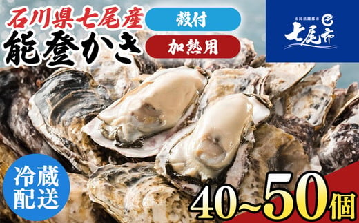 
                  石川県七尾産　能登かき　殻付き　半缶（40～50個） 加熱調理用 ※2027年1月～発送
                