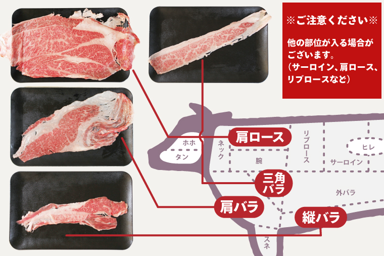 DT-53-1　★常陸牛A5ランク★【訳あり】常陸牛切り落とし(薄切り) 約900ｇ(約300g×3パック)