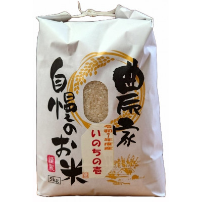 新潟県産 糸魚川産  令和7年産 いのちの壱 100% 精米 5kg【1354395】