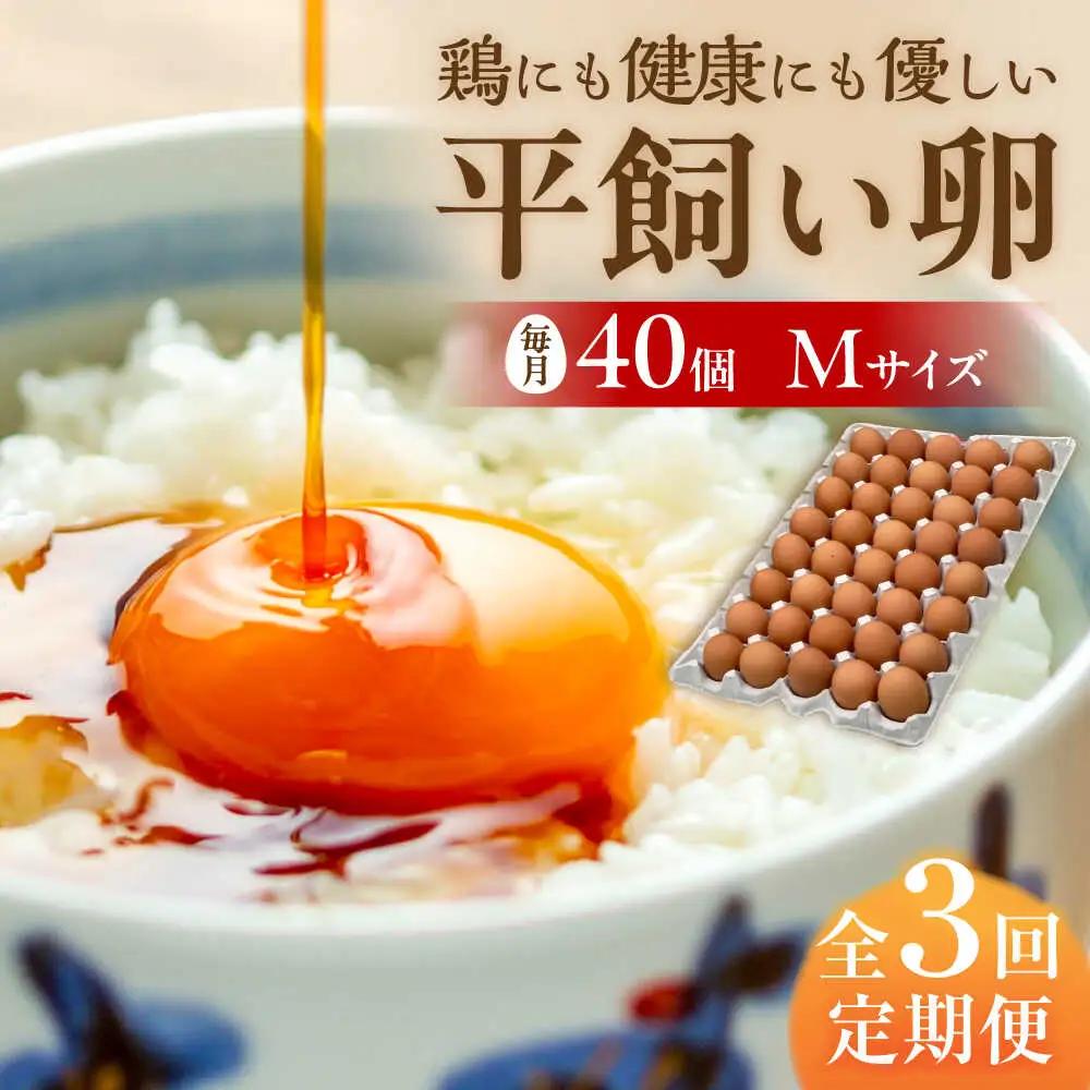 【 全3回 定期便 】  平飼い 卵  「 天上卵 」 40個 セット 糸島市 / 糸島ファームハウスUOVO [AKH006]