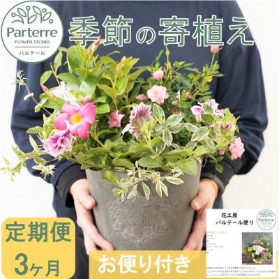 ふるさと納税 北上市 【毎月定期便】季節の寄せ植え　全3回