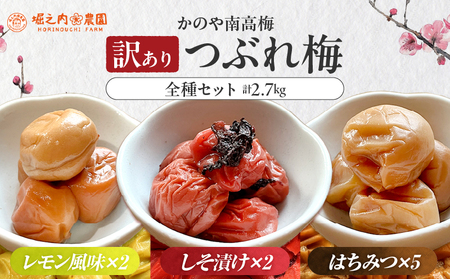 2588 ＜訳あり＞ つぶれ梅 梅干し かのや南高梅 食べ比べ F （はちみつ梅×5、しそ梅×2、レモン風味×2） 計9袋 ×300g （計2.7kg） KN033-007-03 訳あり 梅 うめ うめぼし 塩漬け 天然 自家製 小分け はちみつ梅 しそ シソ シソ梅 レモン レモン風味 南高梅 堀之内農園 ふるさと納税 鹿児島 鹿屋市 おすすめ ランキング プレゼント ギフト